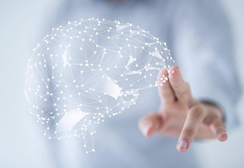Sleep Science - Neural network brain visualization