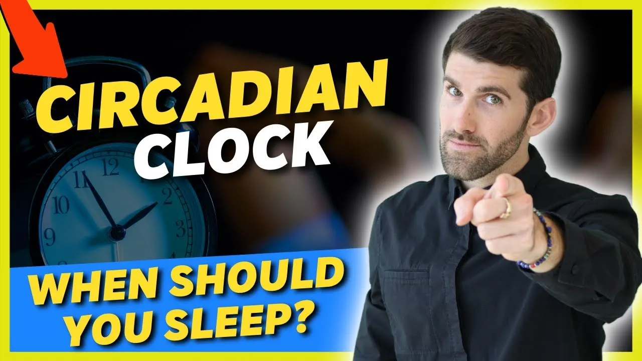 How To Get Better Sleep At Night Circadian Rhythm Explained Sleep Science Academy 